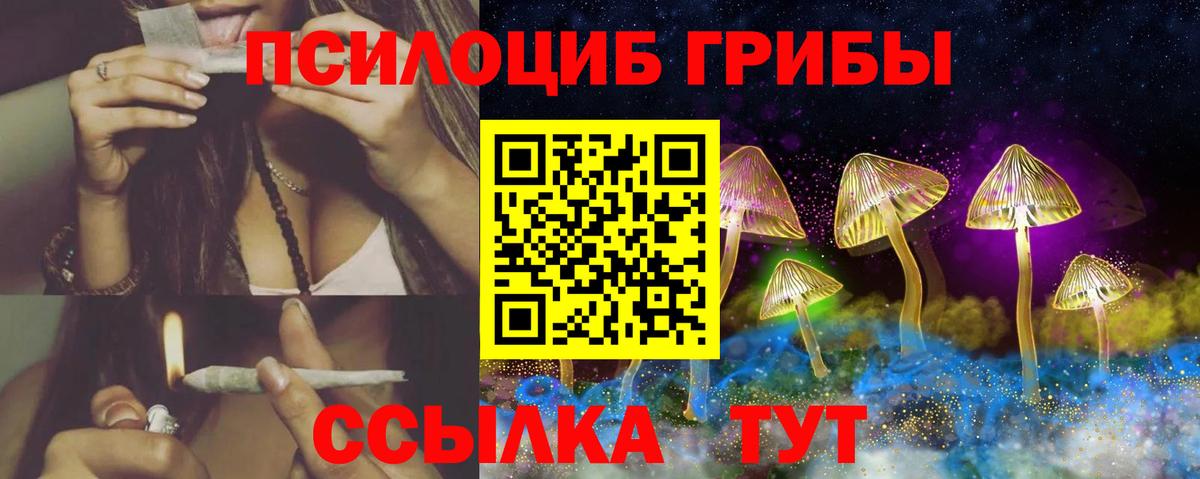 Псилоцибиновые грибы прущие грибы  Галлюциногенные грибы Cubensis  Вход с VPN  Амурск 