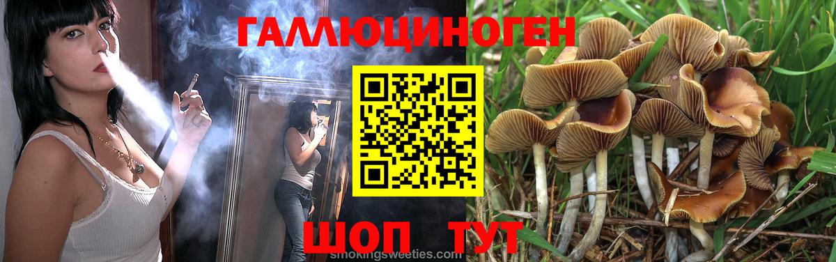 Галлюциногенные грибы мицелий Амурск